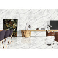 1 Paket (1,44 m²) Fliesen ONYX SILVER (60 × 120 cm), poliert