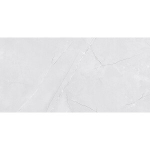 1 Paket (1,44 m²) Fliesen WALL VENEZIA LIGHT GREY SHINY (30 × 60 cm), glänzend