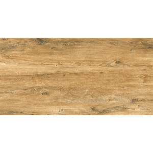 1 Paket (1,44 m²) Fliesen CANARY WOOD BROWN (60 × 120 cm), matt