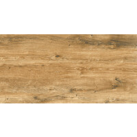 1 Paket (1,44 m²) Fliesen CANARY WOOD BROWN (60 × 120 cm), matt