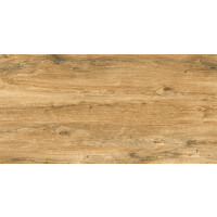 1 Paket (1,44 m²) Fliesen CANARY WOOD BROWN (60 × 120 cm), matt