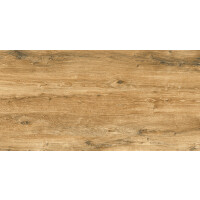 1 Paket (1,44 m²) Fliesen CANARY WOOD BROWN (60 × 120 cm), matt