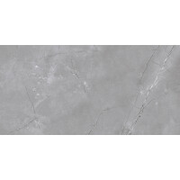 1 Paket (1,44 m²) Fliesen WALL VENEZIA DARK GREY SHINY (30 × 60 cm), glänzend