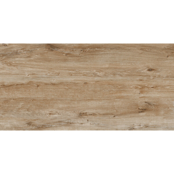 1 Paket (1,44 m²) Fliesen ROVERWOOD NATURAL (60 × 120 cm), matt