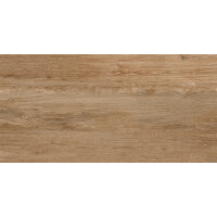 1 Paket (1,44 m²) Fliesen ROVERWOOD NATURAL (60 × 120 cm), matt