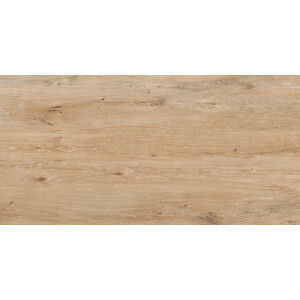 1 Paket (1,44 m²) Fliesen ROVERWOOD PINE (60 × 120 cm), matt