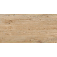 1 Paket (1,44 m²) Fliesen ROVERWOOD PINE (60 × 120 cm), matt