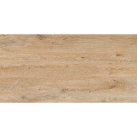 1 Paket (1,44 m²) Fliesen ROVERWOOD PINE (60 × 120 cm), matt