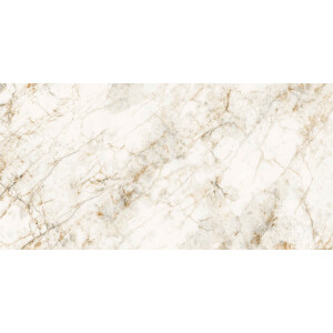 1 Paket (1,44 m²) Fliesen QUARTZ STONE (60 × 120 cm), poliert