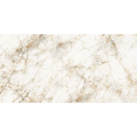 1 Paket (1,44 m²) Fliesen QUARTZ STONE (60 × 120 cm), poliert