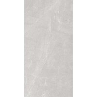 1 Paket (2,88 m²) Slab Fliesen LEO GREY (120 × 240 cm), poliert