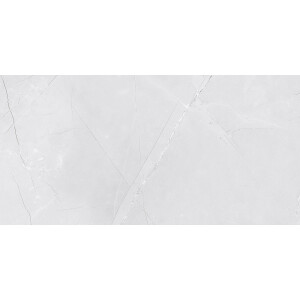 1 Paket (1,44 m²) Fliesen WALL VENEZIA LIGHT GREY SATINE (30 × 60 cm), glanzlos