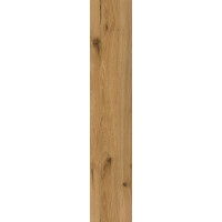 1 Paket (1,3969 m²) Klick-Vinyl SPC Eiche Forset (229×1220×6,0 mm) +1,0 mm Kork-Trittschalldämmung, NS=0,55 mm