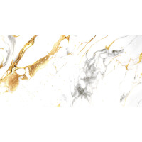 1 Paket (1,44 m²) Fliesen GOLD SKY (60 × 120 cm), poliert