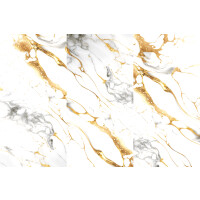 1 Paket (1,44 m²) Fliesen GOLD SKY (60 × 120 cm), poliert