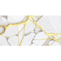 1 Paket (1,44 m²) Fliesen SPIDER SKY (60 × 120 cm), poliert