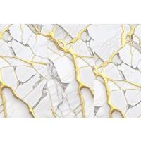 1 Paket (1,44 m²) Fliesen SPIDER SKY (60 × 120 cm), poliert