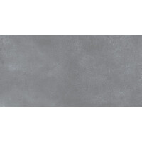 1 Paket (1,44 m²) Terrassenplatten LUNA COOL GREY (60 × 120 cm), matt