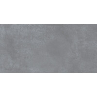 1 Paket (1,44 m²) Terrassenplatten LUNA COOL GREY (60 × 120 cm), matt