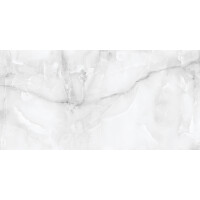 1 Paket (1,44 m²) Fliesen ONYX GREY (60 × 120 cm), matt