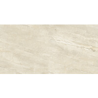 1 Paket (1,44 m²) Fliesen DYNA SILVER LONG (60...