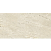 1 Paket (1,44 m²) Fliesen DYNA SILVER LONG (60 × 120 cm), poliert