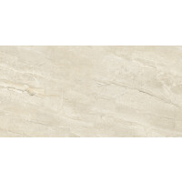 1 Paket (1,44 m²) Fliesen DYNA SILVER LONG (60 × 120 cm), poliert