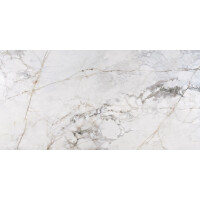 1 Paket (1,44 m²) Fliesen INFINITY STONE (60 ×...