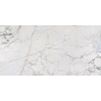 1 Paket (1,44 m²) Fliesen INFINITY STONE (60 × 120 cm), poliert