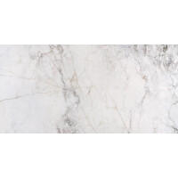 1 Paket (1,44 m²) Fliesen INFINITY STONE (60 × 120 cm), poliert