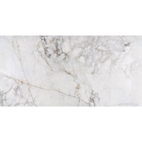 1 Paket (1,44 m²) Fliesen INFINITY STONE (60 × 120 cm), poliert