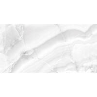 1 Paket (1,44 m²) Fliesen ONYX SILVER (60 × 120 c