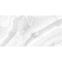 1 Paket (1,44 m²) Fliesen ONYX SILVER (60 × 120 c