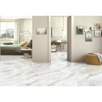 1 Paket (1,44 m²) Fliesen ONYX SILVER (60 × 120 c