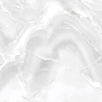 1 Paket (1,44 m²) Fliesen ONYX SILVER (60 × 60...