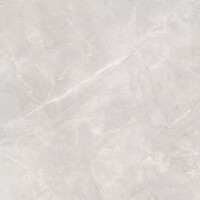 1 Paket (2 m²) Fliesen NIKKO GREY (100 × 100 cm),