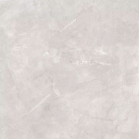 1 Paket (2 m²) Fliesen NIKKO GREY (100 × 100 cm),