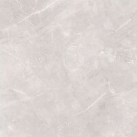 1 Paket (2 m²) Fliesen NIKKO GREY (100 × 100 cm),