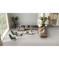 1 Paket (1,44 m²) Fliesen LIBRA SILVER QUARTZ (60 &time