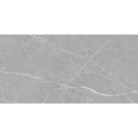 1 Paket (1,44 m²) Fliesen WALL ARMANI GREY (30 × 